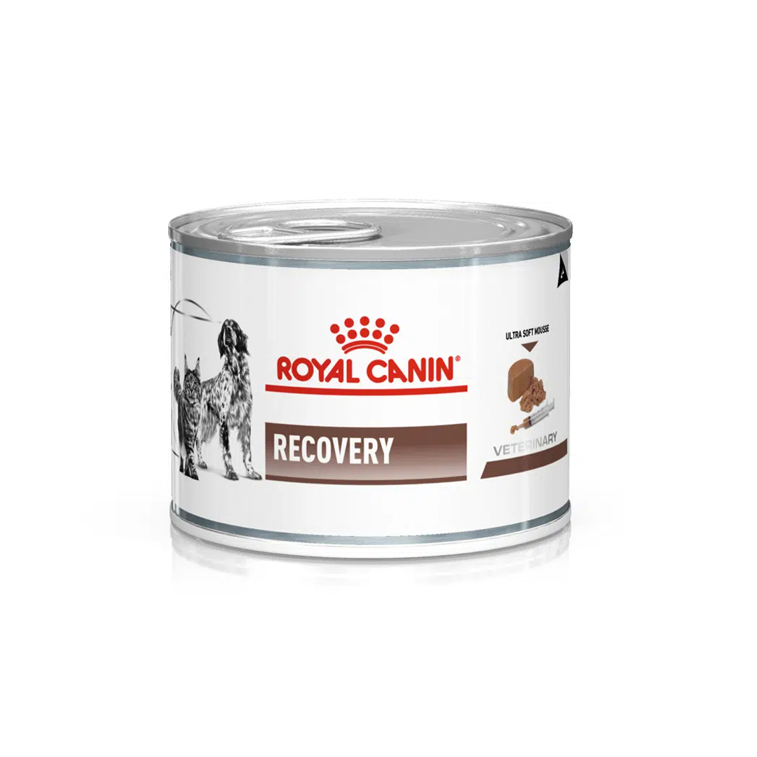 کنسرو سگ برای ریکاوری و دوره نقاهت